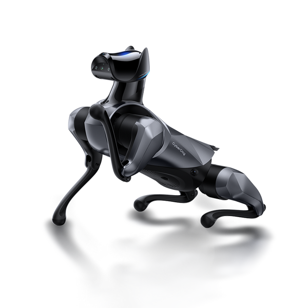 Xiaomi CyberDog 2