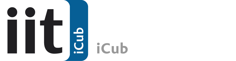 Italian Institute of Technology