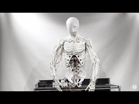 Clone Robotics Torso