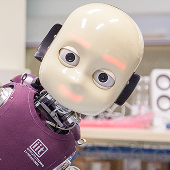 Italian Institute of Technology iCub